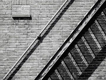 Shadow play