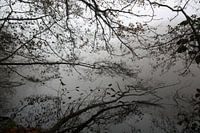 Mirror lake