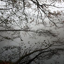 Mirror lake by Jelle Ursem