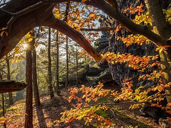 Kleinhennersdorfer Stein in Saxon Switzerland - Golden autumn