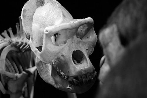 Un regard vers l'avenir