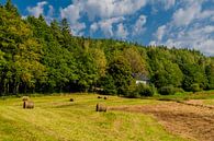 Relaxed late summer walk at the Rennsteig/Thuringian Forest by Oliver Hlavaty thumbnail