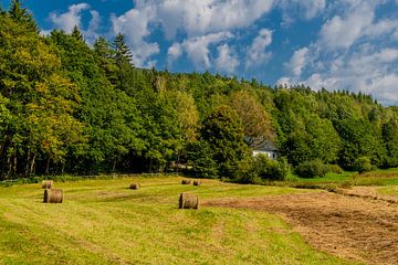 Relaxed late summer walk at the Rennsteig/Thuringian Forest by Oliver Hlavaty