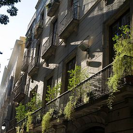 Barcelona streets sur Danielle van Leeuwaarden