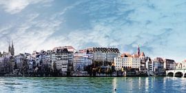 Bazel van Claudia Moeckel