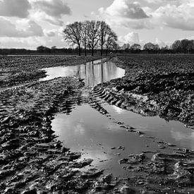 Modder in de polder van Bas Wolfs