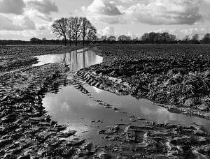 Schlamm im Polder von Bas Wolfs