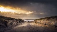 De weg naar het strand van Klaas Fidom thumbnail