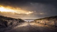 Der Weg zum Strand