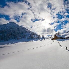 Winterzauber auf der Lackenalm von Christa Kramer