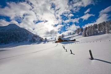 Winter magic on the Lackenalm by Christa Kramer