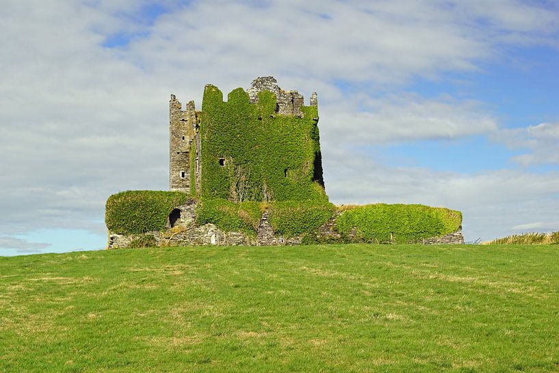 Ballycarbery Castle in Ireland by Babetts Bildergalerie