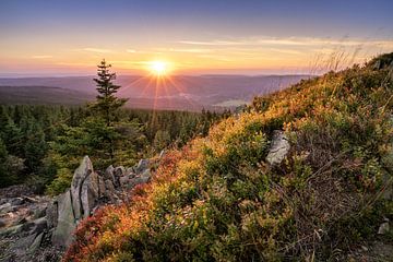 Traumhaft im Harz von Steffen Henze