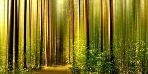 In het bos