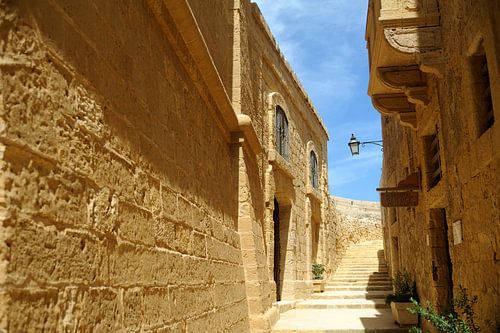 Gozo