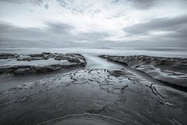 Zeitlose Schönheit von Joseph S Giacalone Photography