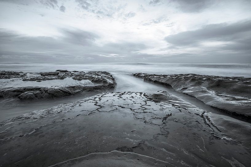 Timeless Beauty by Joseph S Giacalone Photography