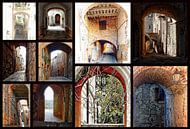Italian Arches Collage by Dorothy Berry-Lound thumbnail