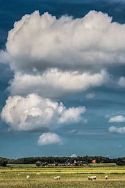 Landschaft in Gaasterland, Friesland. von Harrie Muis