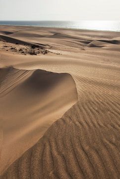 Les dunes de sable de Boa Vista