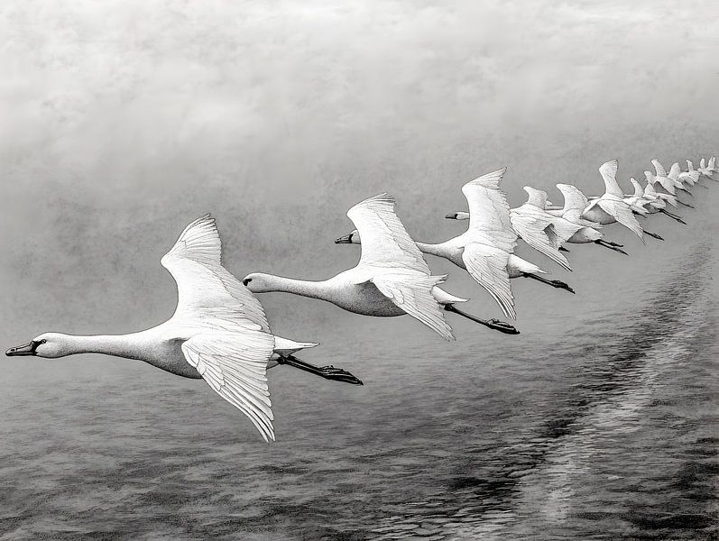 Naar het zuiden. Naar het zuiden. van Heike Hultsch