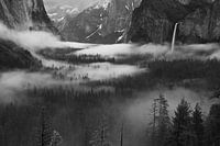 Fog Floating In Yosemite Valley
