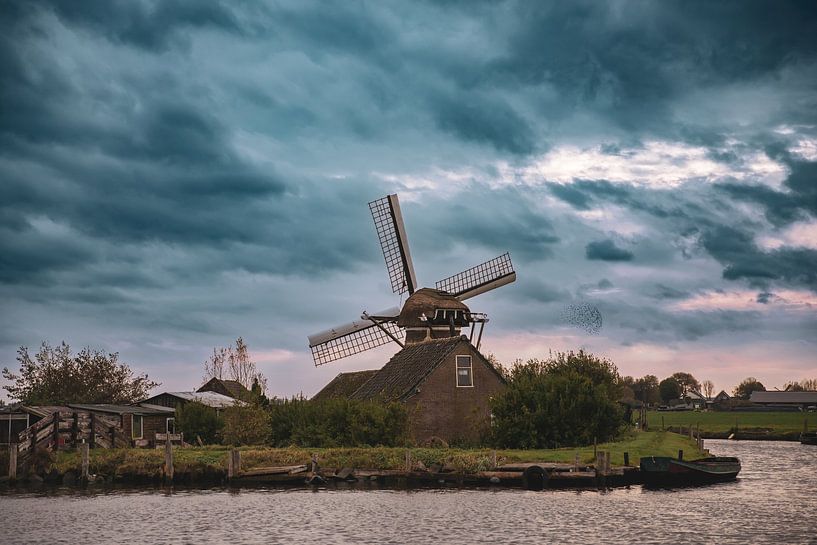 Moulin par Yanuschka | Fotografie Noordwijk