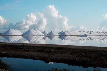Refroidissement par le vent sur les salines sur K. Pauw Photography