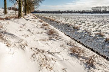 Nederlands winterlandschap met een sloot