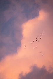 La migration vers le sud – Ciel du soir aux couleurs pastel sur Milene van Arendonk
