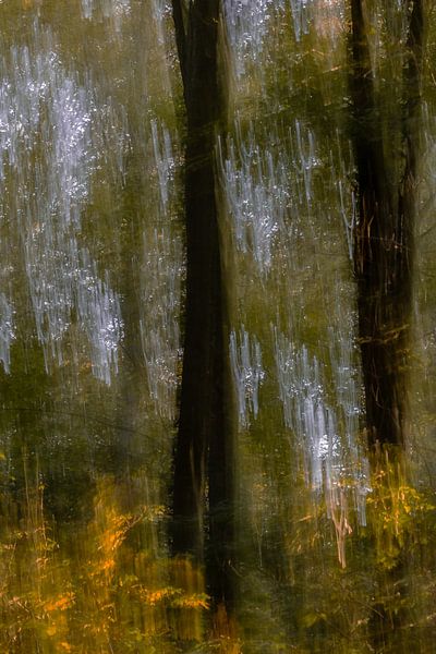 Absichtlich verschobenes Foto von Marieke Deinum