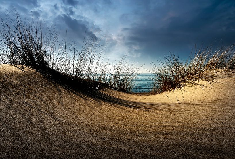 Dunes ..........., Wim Schuurmans von 1x