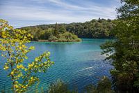 Plitvice Kroatië nationaal park turquoise water