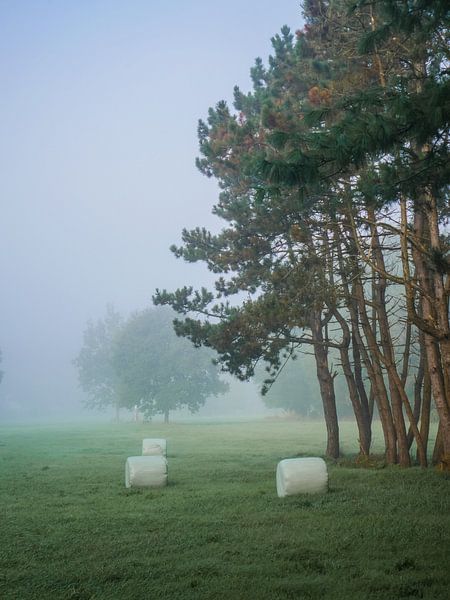 mist met hooibalen van snippephotography