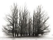 Melancholie - stimmungsvolle Bäume von BHotography Miniaturansicht