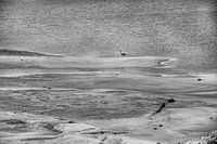 floodplains of river landscape during drought