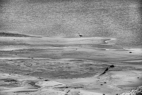 floodplains of river landscape during drought