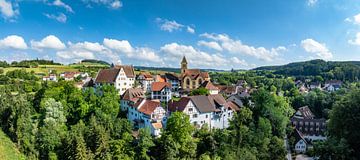 Blumenfeld im Hegau von Markus Keller