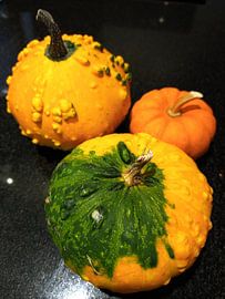 Gourds by Tineke Van steenbergen
