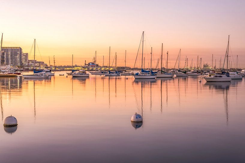 A Warm Glow- San Diego Harbor by Joseph S Giacalone Photography