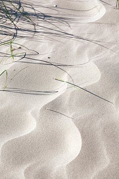 Beige zacht zand met patronen en schaduwen. Zen natuurfotografie.
