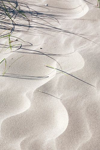 Du sable doux avec des motifs et des ombres.
