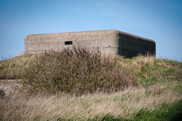 Wereld Oorlog in picture von Katelijne Davit