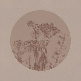 Japandi botanisch in neutraal beige en bruin. Weidebloemen. van Dina Dankers