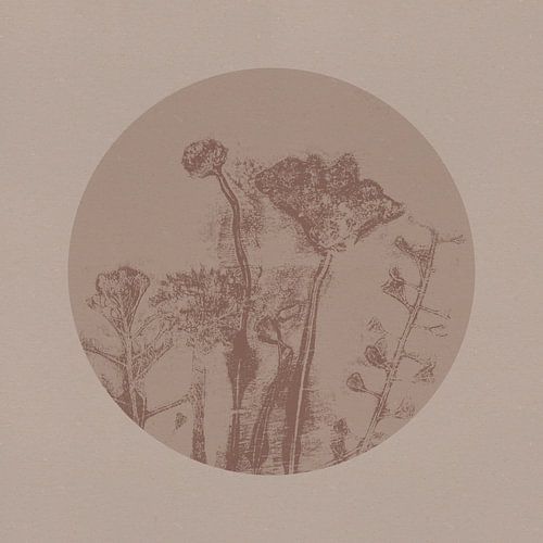 Japandi botanisch in neutraal beige en bruin. Weidebloemen.