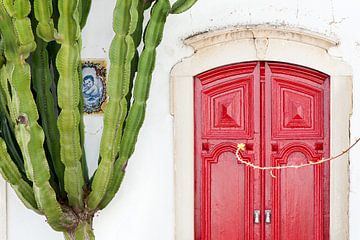 Rode deur van Remke Spijkers