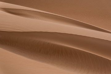 De kunst van zand | Duin in de Sahara