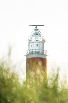 The Red Lighthouse of Texel by The Book of Wandering