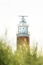 De Rode Vuurtoren van Texel van The Book of Wandering thumbnail