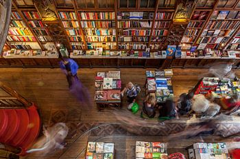 Librairie Livario Lello à Porto, Portugal